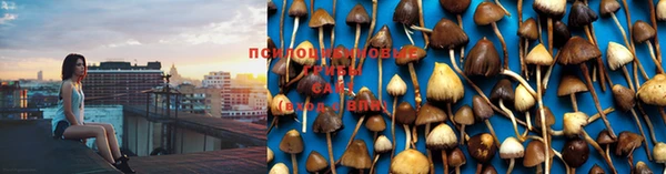 марки lsd Зеленокумск