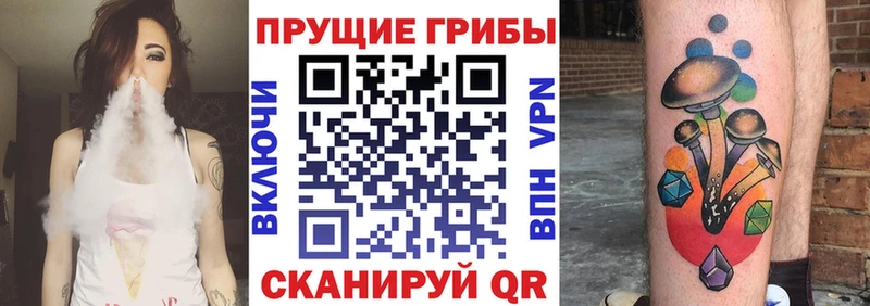 наркошоп  Петухово  Псилоцибиновые грибы Psilocybine cubensis 
